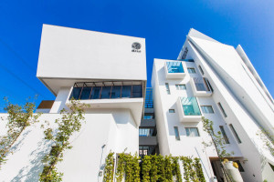 sundialougue-home-featured