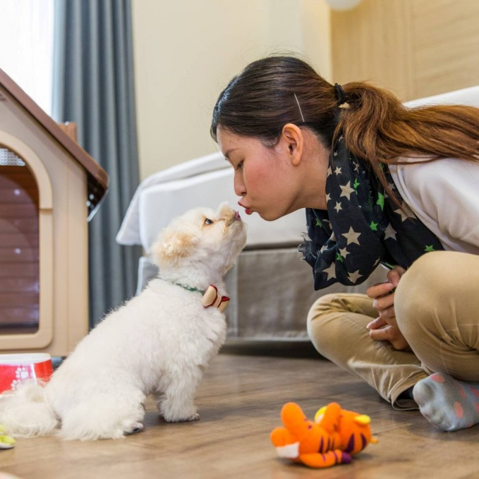 同遊繪日 毛小孩住宿專案